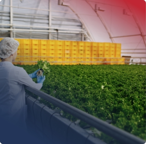 Department of Agriculture